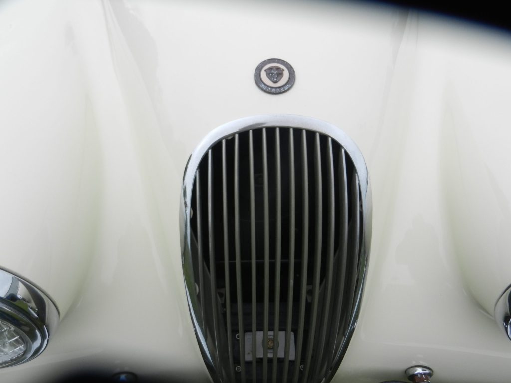 1954 XK120 05202023 (20)