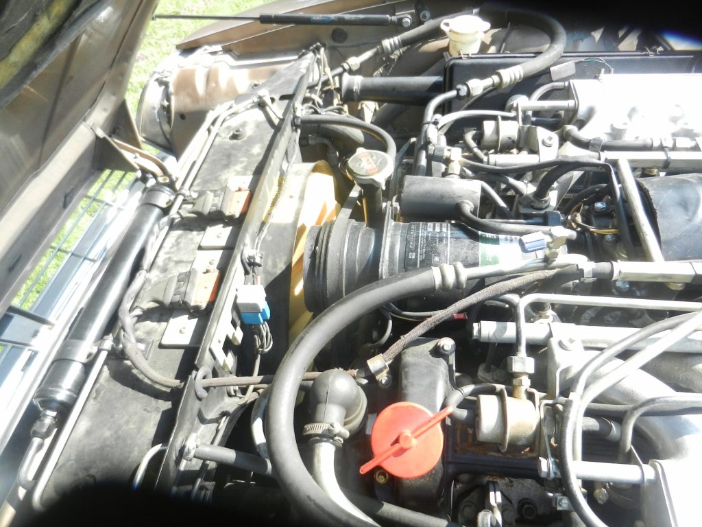 1990 XJS Convertible 08052023 (23)