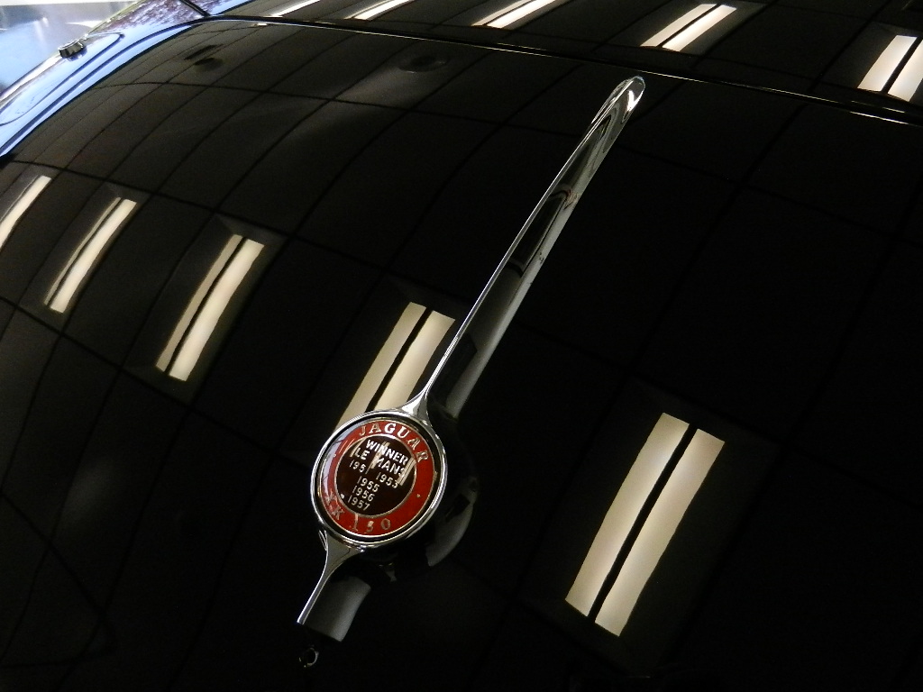 Lang XK150S 05192017 001 (1)