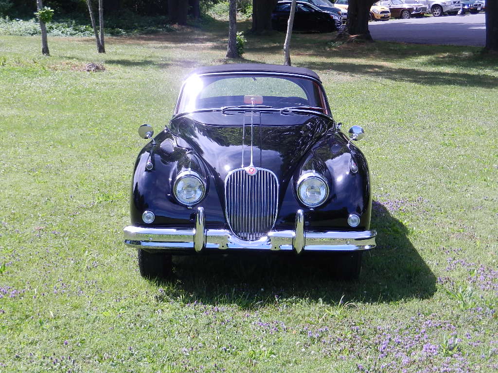 Lang XK150S 06222018 010