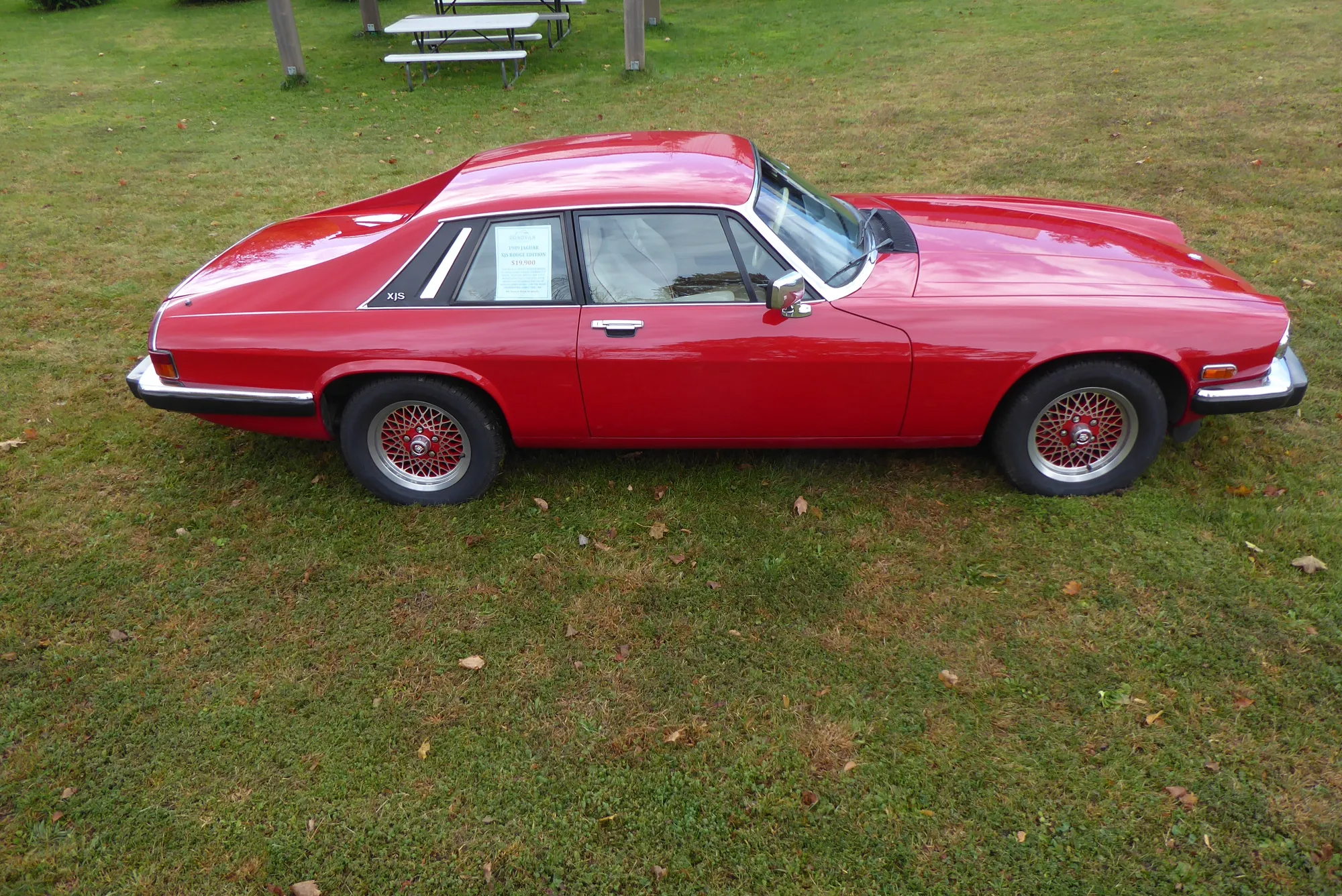 1989-JAGUAR-XJS-5
