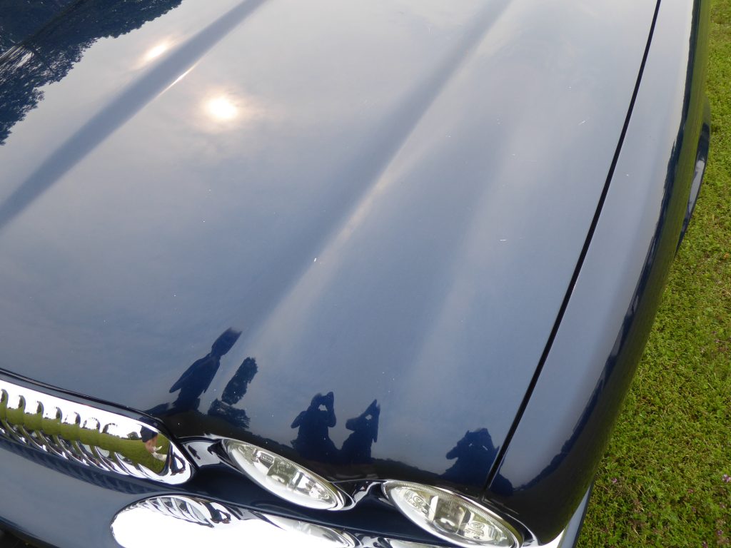 Promisel XJ8 07182026 (21)